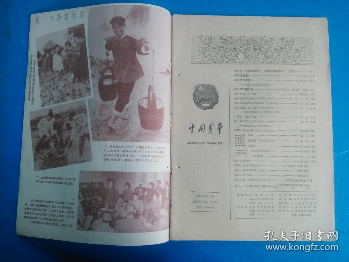 中国青年 1964年 1