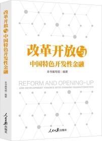 正版书 改革开放与中国特色开发性金融