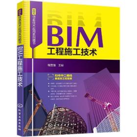 BIM工程施工技术BIM信息技术应用系列图书