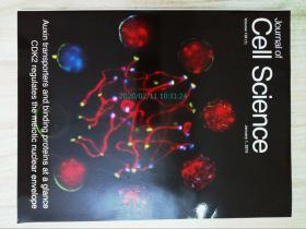 Journal of Cell Science 2015/01/1 细胞科学 细胞生物学原版外文杂志期刊