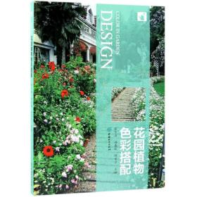 花园植物色彩搭配