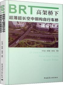 正版二手 BRT高架桥下超薄超长空中钢构自行车桥建设技术