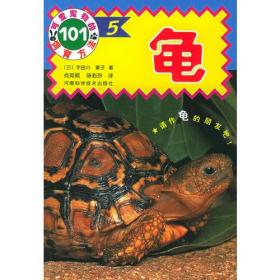 宠物龟的饲育方法