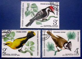 飞鸟三张全--苏联邮票--早期外国鸟类邮票甩卖--珍稀动物-飞鸟--实拍--包真，