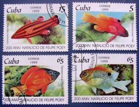 红长鲈鱼等4张全--古巴邮票--外国海洋生物邮票甩卖--珍稀动物-海洋生物--实拍--包真