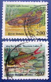绿野鲮等2张--瑞士邮票--外国海洋生物邮票甩卖--珍稀动物-海洋生物--实拍--包真