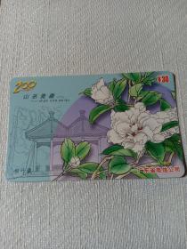 卡片403 山茶雅趣 柳叶银 30元 200一卡打遍天下  中国电信 P0162(4-1)  广东电信 电话卡