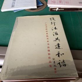 践行法治共建和谐 : 广东省政法系统首届美术书法
摄影作品选【一版一印】