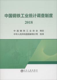 中国钢铁工业统计调查制度 2018