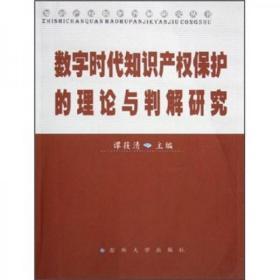 数字时代知识产权保护的理论与判解研究14-2