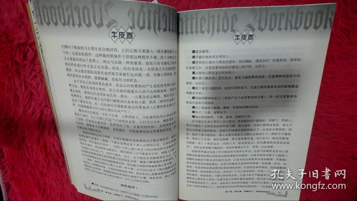 牛皮卷:追求成功与卓越的人生秘籍