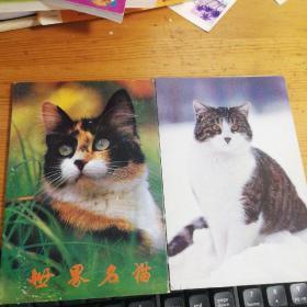 世界名猫明信片(9张)