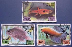大点波鱼等3张全--贝宁邮票--外国海洋生物邮票甩卖--珍稀动物-海洋生物--实拍--包真