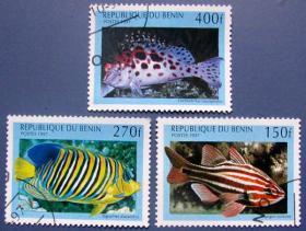 双齿石鳖鱼等3张--贝宁邮票---外国海洋生物邮票甩卖--珍稀动物-海洋生物--实拍--包真