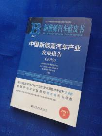 新能源汽车蓝皮书：中国新能源汽车产业发展报告（2019）