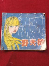 野天鹅