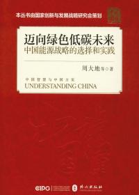 迈向绿色低碳未来 中国能源战略的选择和实践