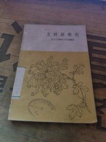 《怎样画菊花》1959年一版一印