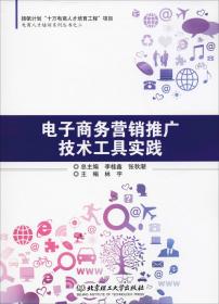 电子商务营销推广技术工具实践