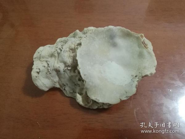 纯天然文房用海贝化石《笔舔》一个，(纯天然合成并非人工粘合)