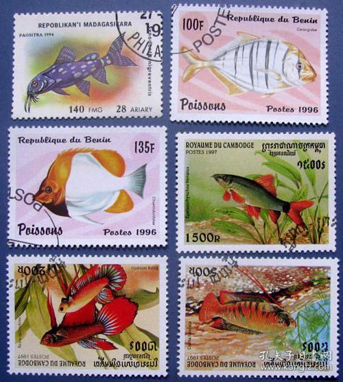 海洋蝴蝶鱼等6张全--贝宁邮票--外国海洋生物邮票甩卖--珍稀动物-海洋生物--实拍--包真
