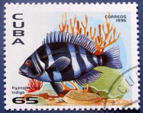 紫青低纹鮨--古巴邮票--外国海洋生物邮票甩卖--珍稀动物-海洋生物--实拍--包真