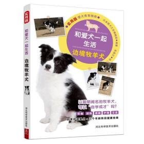 和爱犬一起生活:边境牧羊犬