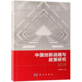 中国创新战略与政策研究. 2019