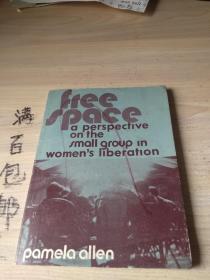 FREE SPACE a perspective on the small group in womens liberation