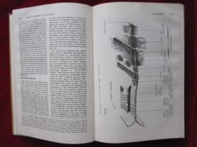 Bailey's Textbook of Histology（Seventeenth Edition）贝利组织学教科书（第17版 英语原版 精装本）