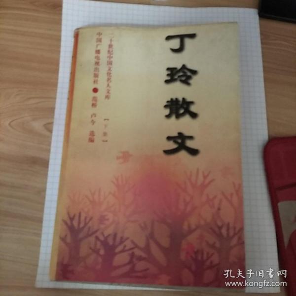 丁玲散文(上下)