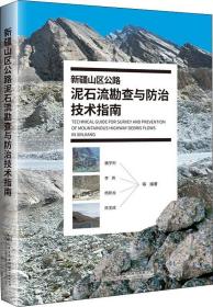 新疆山区公路泥石流勘查与防治技术指南
