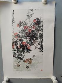 畫(huà)片--1957年吳茀之作《花間羣雛》