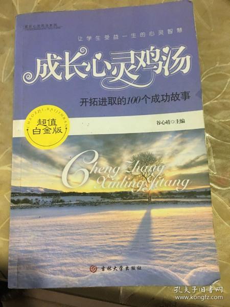 成长心灵鸡汤-开拓进取的100个成功故事