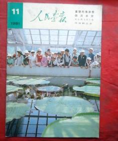 人民画报   1981年11期  富饶的海岸线