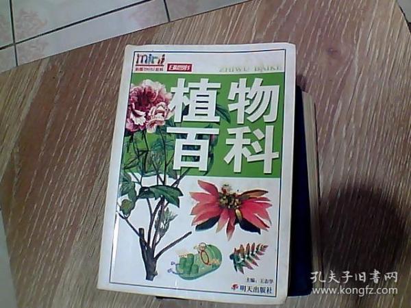 植物百科