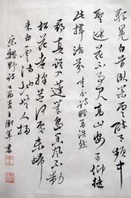 王卫军 小行书横幅 手写书法录《苏小小墓》