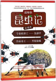 专业殡葬工:负葬甲 冷面毒王:黑腹狼蛛 (法)法布尔 著；潘昌礼,陈红波 编译