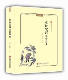 唐诗宋词鉴赏辞典(无障碍阅读.释义版)中华诗文鉴赏丛书 