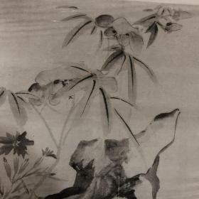 《 潘莲巢山水花卉合册》8开， 含图12幅  天会阁