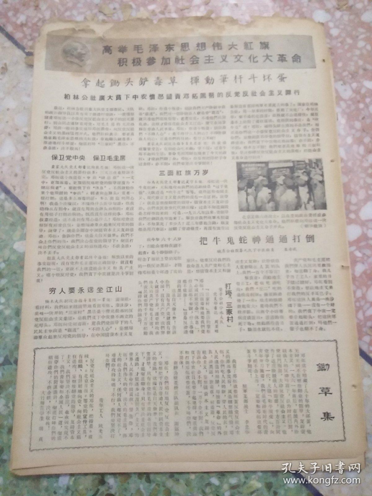 大竹报1966年5月28日（8开二版）;三蚕工作会议;宝子公社掀起采种育苗热潮
