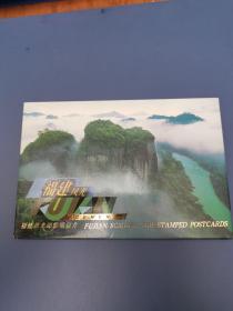 中国邮政FP9特种邮资明信片