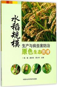 水稻规模生产与病虫害防治原色生态图谱