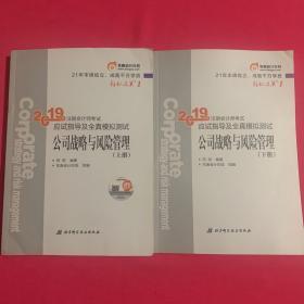 注会会计职称2019教材辅导东奥2019年轻松过关一《2019年注册会计师考试应试指导及全真模拟测试》公司战略与风险管理（上下册）