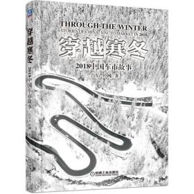 穿越寒冬:2018中国车市故事