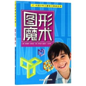图形魔术中国少年儿童智力挑战全书