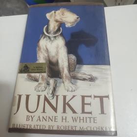JUNKET:BY ANNE H WHITE:外文原版 英文书