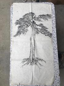 松树画稿 2幅