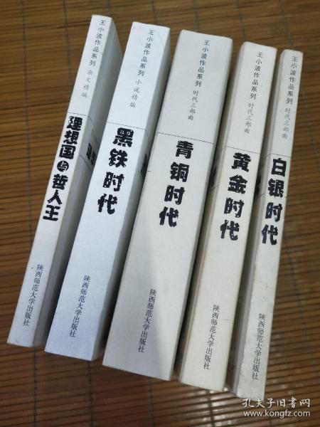 王小波作品系列（最新典藏插图本）4本：黄金时代/黑铁时代/青铜时代/白银时代