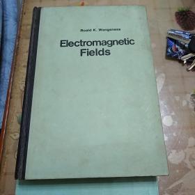 ElectromagneticField